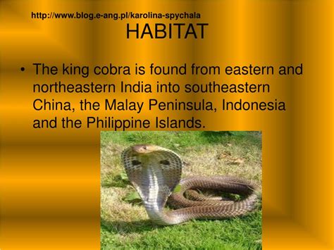 King Cobra Habitat Map