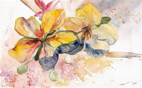 Hoa Mai by NiceMinD on deviantART | Botanical art, Painting, Watercolor art