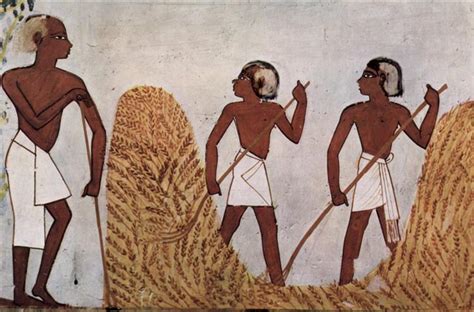 Workers on the Threshing Floor, c.1422 - c.1411 BC - Ancient Egypt ...