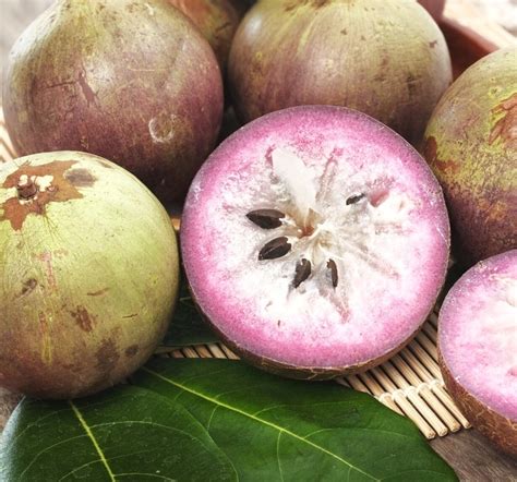 10 Delicious Purple Fruits From Around the World