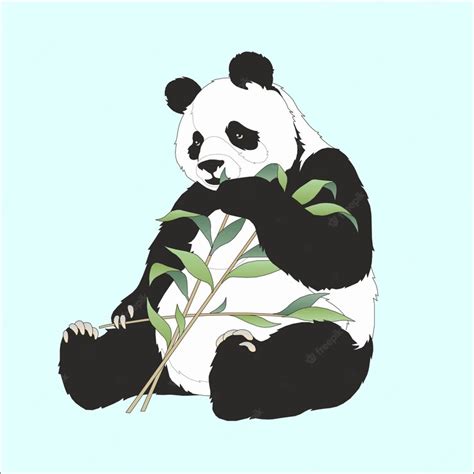 Premium Vector | Panda eating bamboo