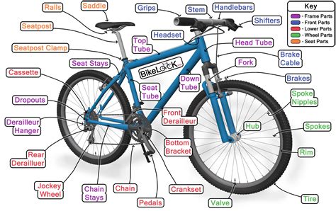 Parts of A Bike Diagram | The Bicycle Anatomy Guide For All