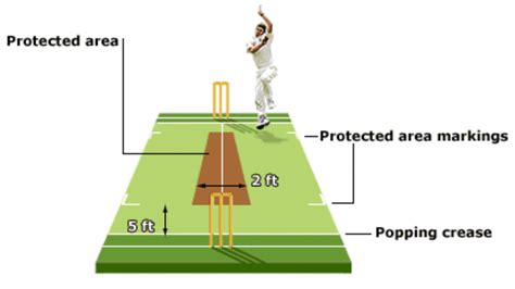 Rules of Cricket and Skills l Equipment of Cricket l Terminology of ...