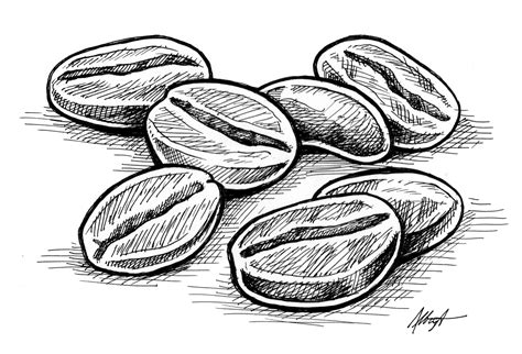 Coffee Beans - Daily Line Art :: Behance