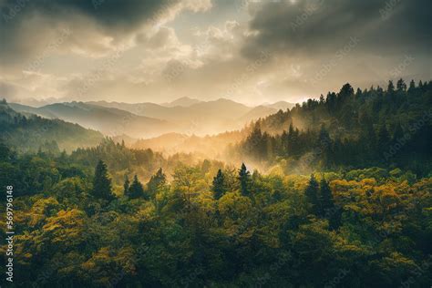 Wallpaper of a beautiful forest landscape. Generative ai Stock ...