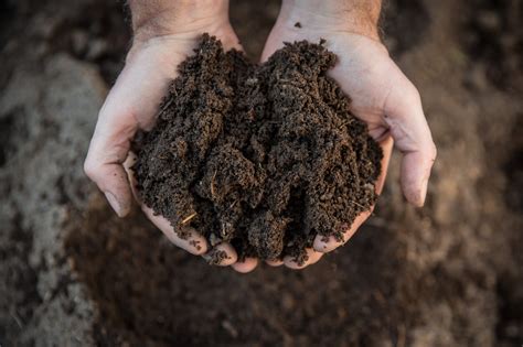 WHAT IS ORGANIC SOIL? | Kellogg Garden Products