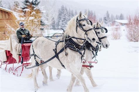 Texas Travel Files — Where to Book Holiday Horse Drawn Sleigh Rides