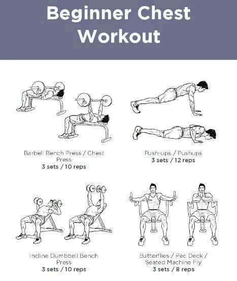 Pin by Jessica on Work it out | Gym workout plan for women, Chest ...