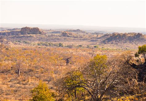 Mapungubwe Cultural Landscape in Musina, Limpopo