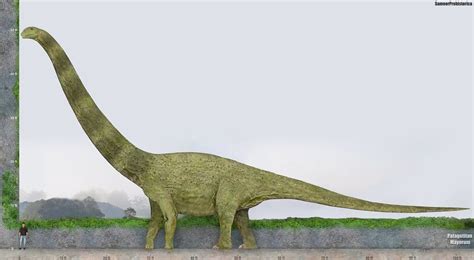 Patagotitan by SameerPrehistorica | Prehistoric, Paleo art, Largest ...