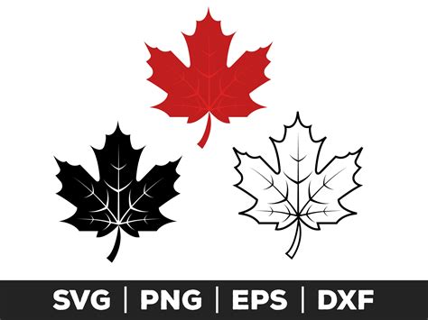 Maple Leaf Svg, Png, Eps, Canadian Leaf, Maple Svg, Canada Clipart ...