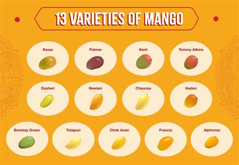 The King Of Fruit: 13 Mouthwatering Mango Varieties - Sukhi's