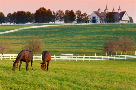 A Guide to Managing Your Horse Farm | Sarah Boyd & Company