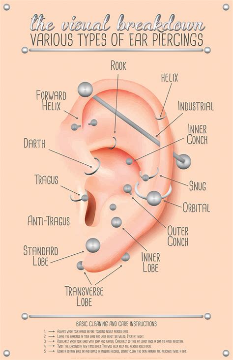 Ear Piercing Chart | Süße piercings, Piercings, Piercing