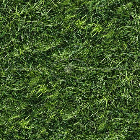 Textures Texture Seamless Green Grass Texture Seamless | sexiezpix Web Porn