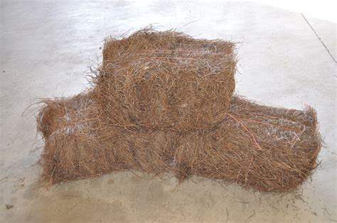 Pine Straw Bales | Indianapolis Pine Straw | Grass Seed