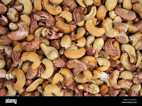 Cashew Nut Shell High Resolution Stock Photography and Images - Alamy