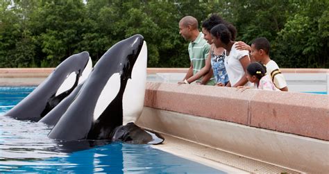 Marineland is one of the best marine amusement park, at Niagarafalls