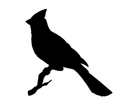 Nice cardinal silhouette Bird Silhouette, Silhouette Free, Silhouette ...