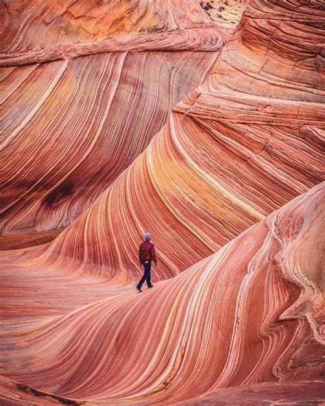 The Wave at Coyote Buttes, USA | The wave coyote buttes, Coyote buttes ...