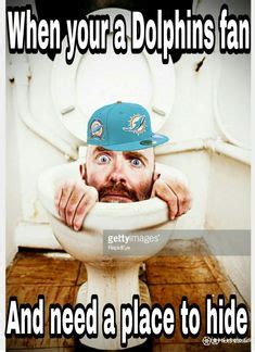 Dolphins Suck