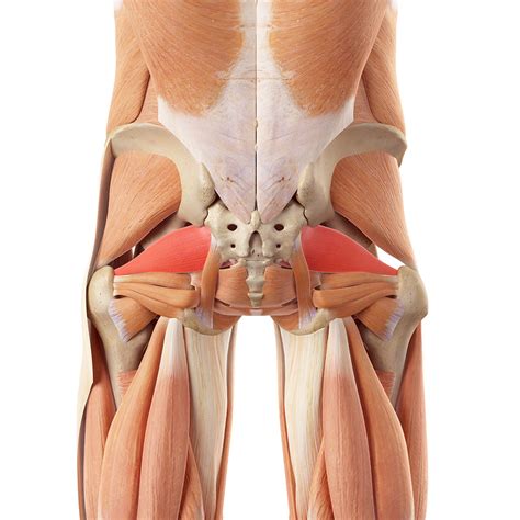 Can the Wrong Shoes Cause Piriformis Syndrome