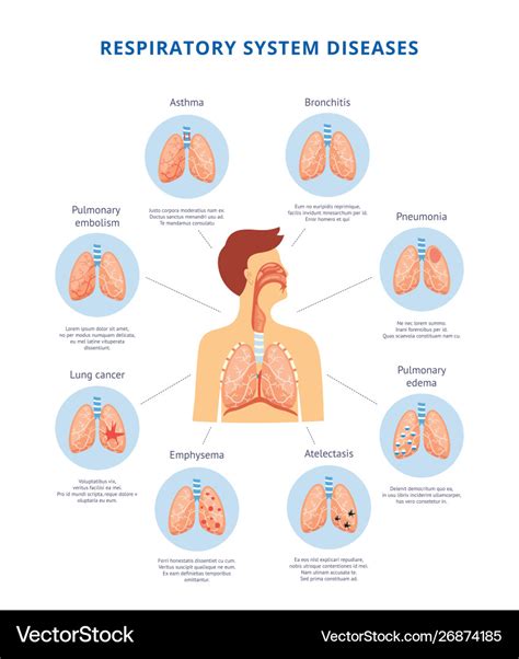 Human respiratory system diseases informative Vector Image