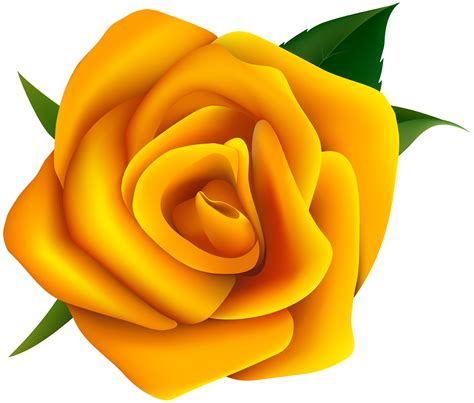 Rose Yellow Clip art - Yellow Rose Clipart PNG Image png download ...