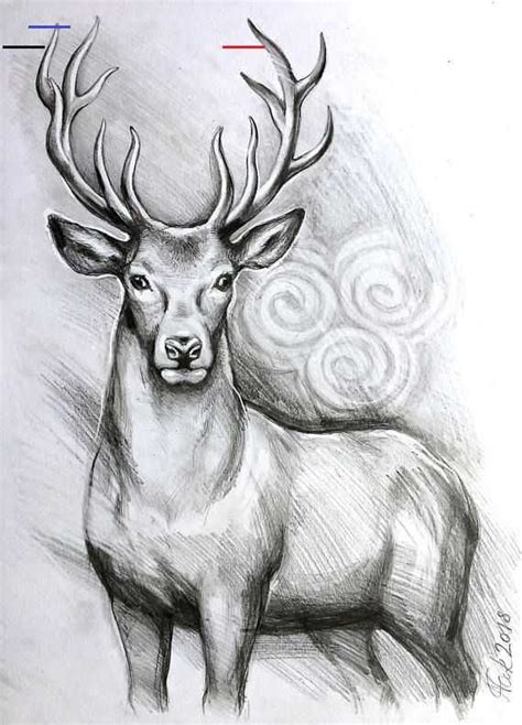 ORIGINAL Hirsch A3 Zeichnung, Bild, Illustration, Hirsch Kunst, Hirsch ...