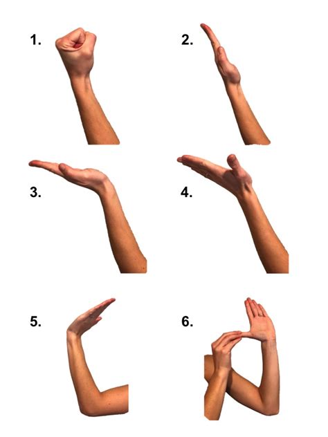 Median Nerve Hand