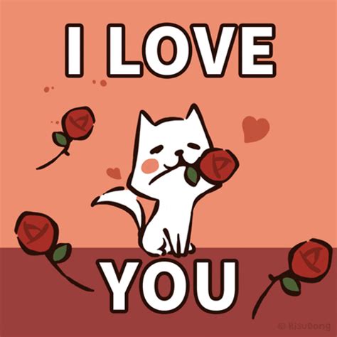 I Love You Cat Rose GIF | GIFDB.com