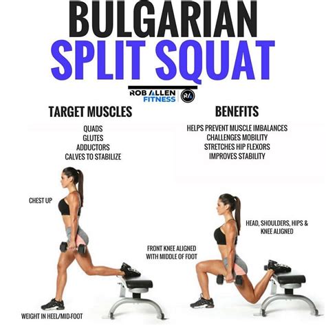 What Muscles Do Split Squats Work - Photos Idea