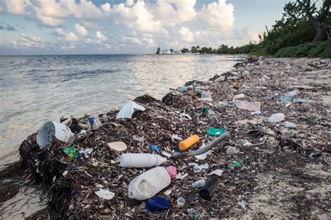 The Problem of Marine Plastic Pollution | Clean Water Action