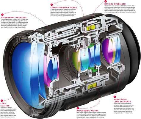 Camera Anatomy - Anatomical Charts & Posters