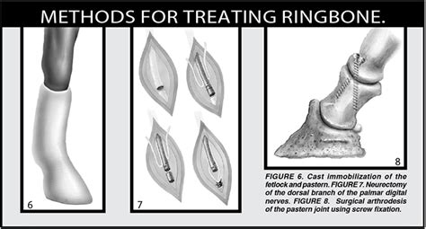 Diagnosing and Treating Ringbone