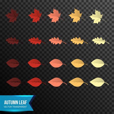 Autumn Leaf vector 3433640 Vector Art at Vecteezy