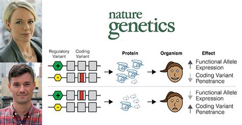 New Study Explains Why Genetic Mutations Cause Disease in Some People ...