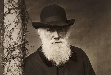 Biography of Charles Darwin, 19th Century Naturalist