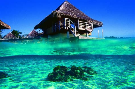 Overwater bungalow at InterContinental Bora Bora Le Moana Resort & Spa ...