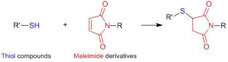 Peroxidase （HRP） Labeling Reagent, Thiol Reactive | TCI EUROPE N.V.