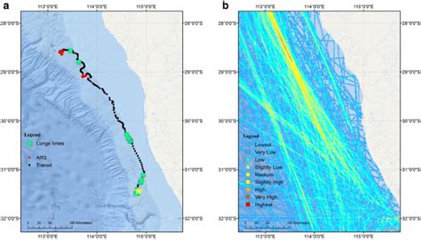 A week in the life of a pygmy blue whale: migratory dive depth overlaps ...