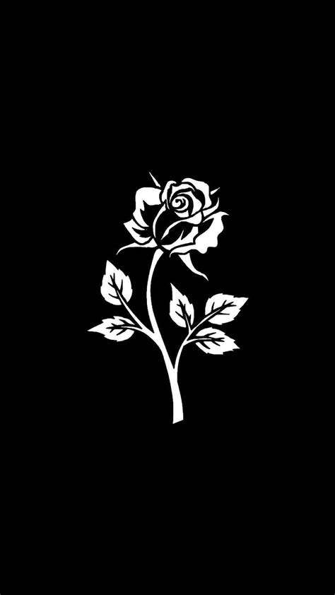 Black And White Rose, White Animated Rose, black background, HD phone ...