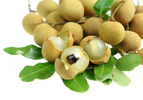 Longan | Edible South Florida