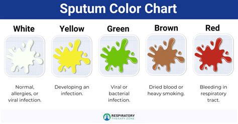 Sputum: Definition, Colors, Causes, and Conditions (2024)