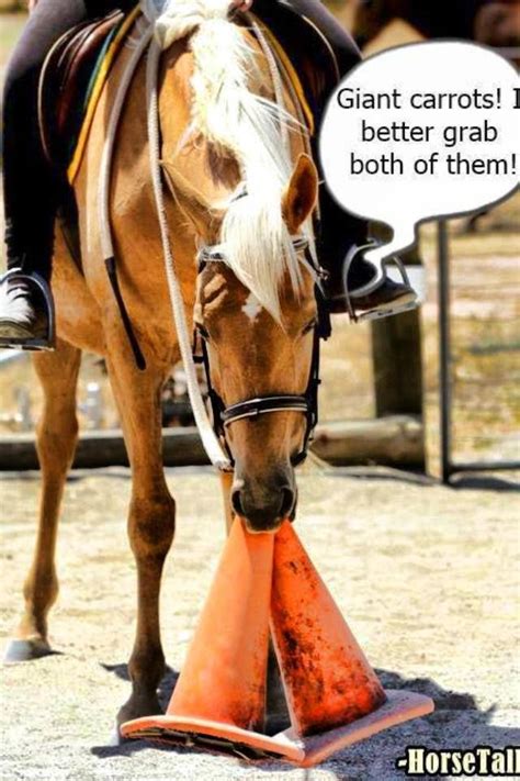 Horse eating carrots, lol | Funny horse pictures, Funny horses, Funny ...