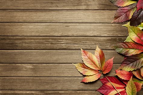 Tips for Autumn Home Maintenance - Embassy Cleaners