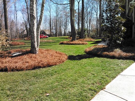 Benefits of Pine Straw — Mid-Atlantic Pine Straw Mulch