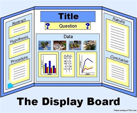 Science Project Board, Science Fair Display Board, Science Fair ...