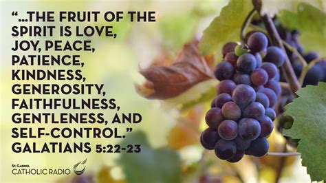 The Fruit of the Spirit is Love Galatians 5:22-23 - St Gabriel Catholic ...