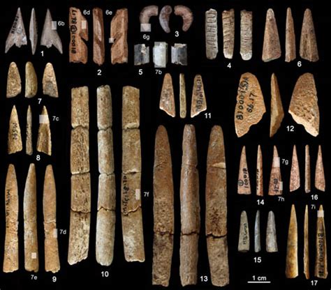 Paleolithic bone tools found from South China